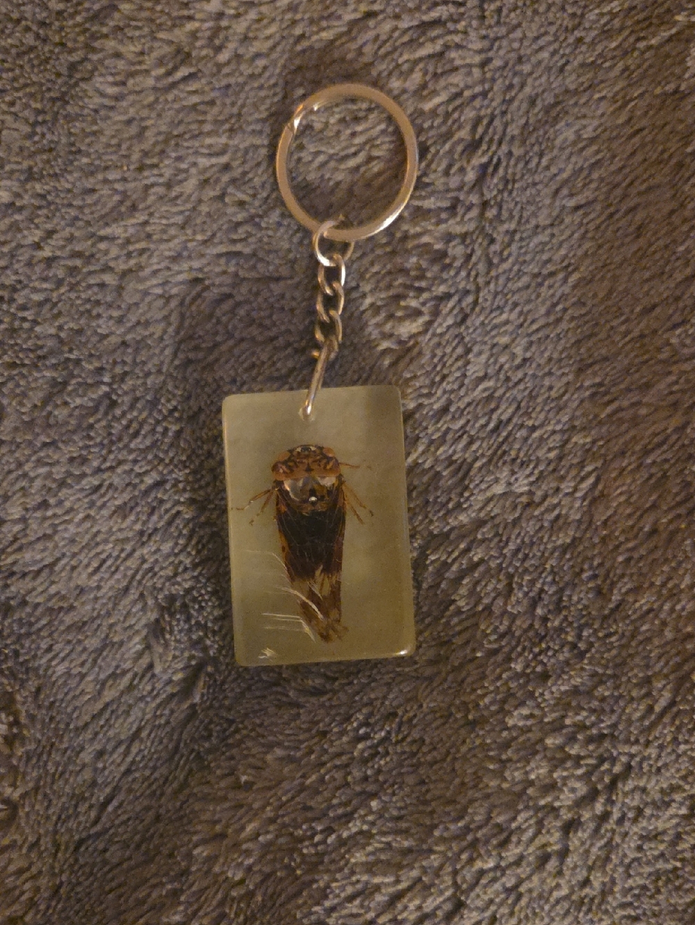 Resin Cicada Keychain with Metal Ring